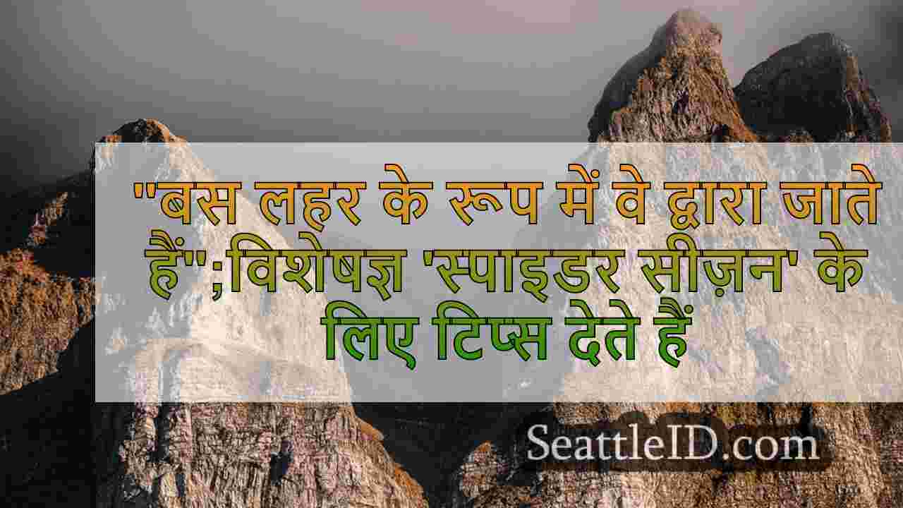 बस लहर के रूप में वे द्वारा जाते