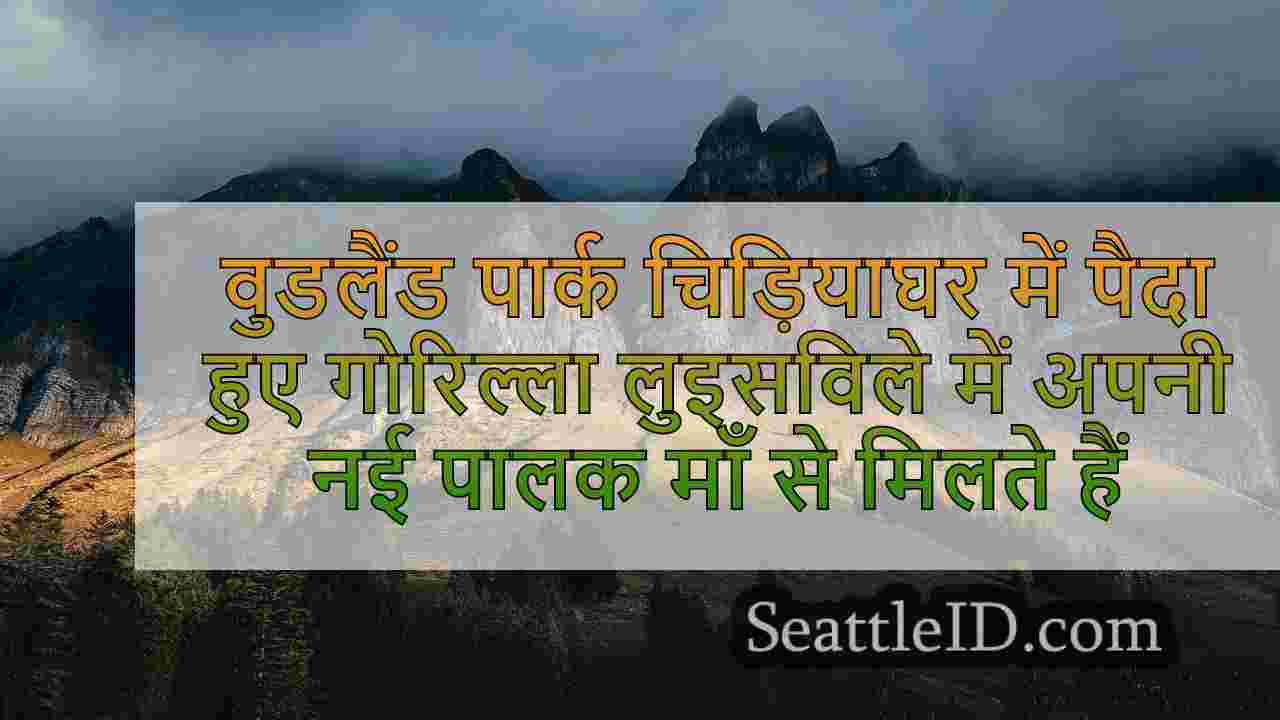 सिएटल समाचार SeattleID