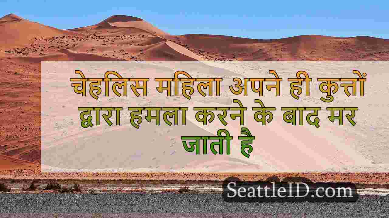 सिएटल समाचार SeattleID
