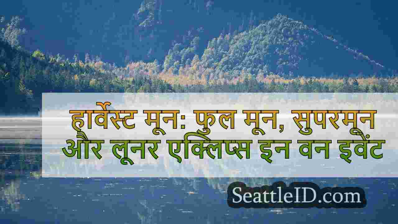 सिएटल समाचार SeattleID