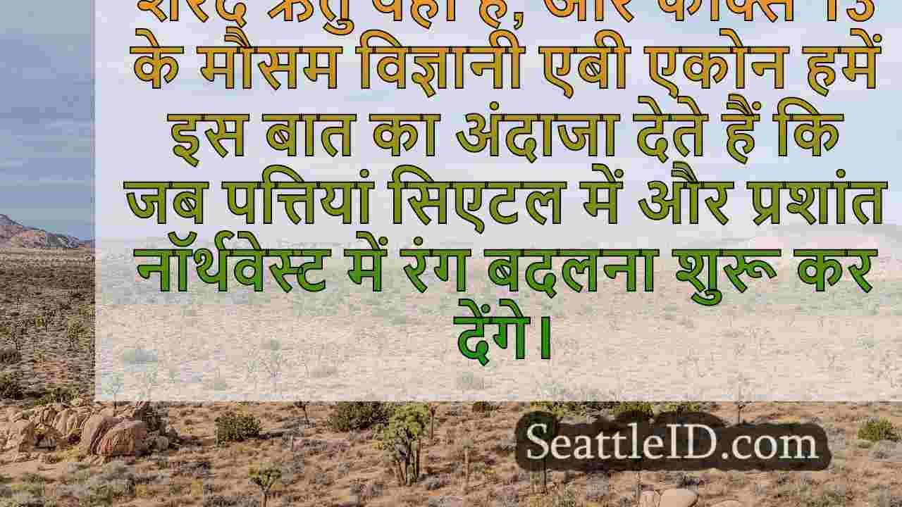 यहाँ है जब गिरावट के पत्ते पश्चिमी वा
