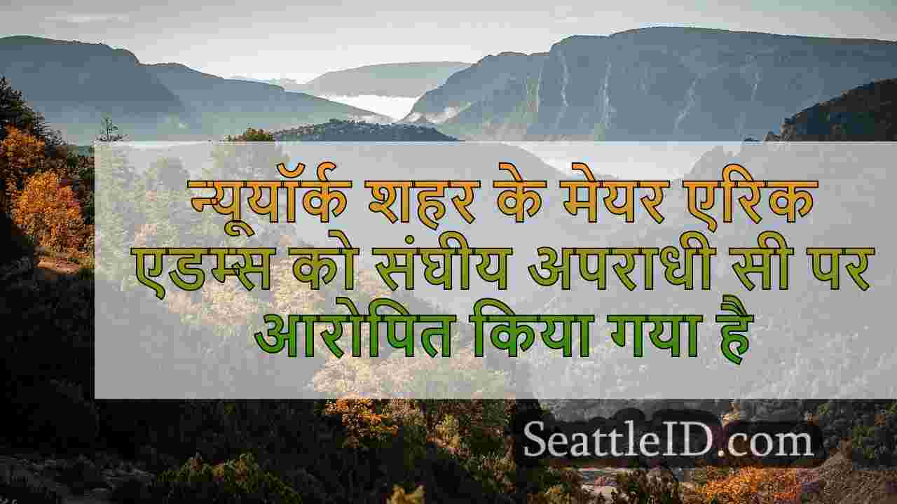 सिएटल समाचार SeattleID