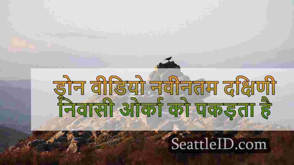 ड्रोन वीडियो नवीनतम दक्षिणी निवासी