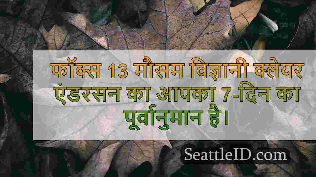 सिएटल समाचार SeattleID