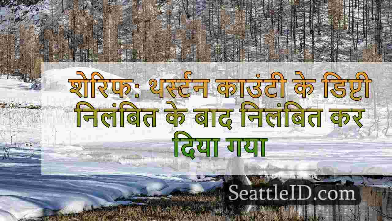 सिएटल समाचार SeattleID