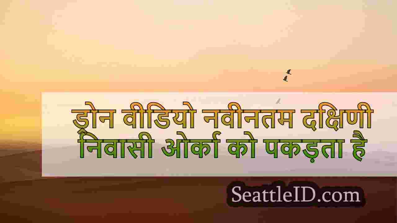 सिएटल समाचार SeattleID