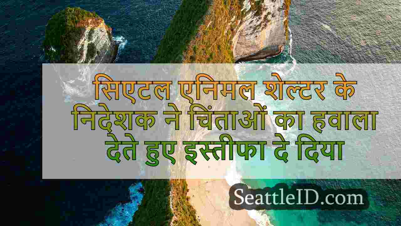 सिएटल समाचार SeattleID