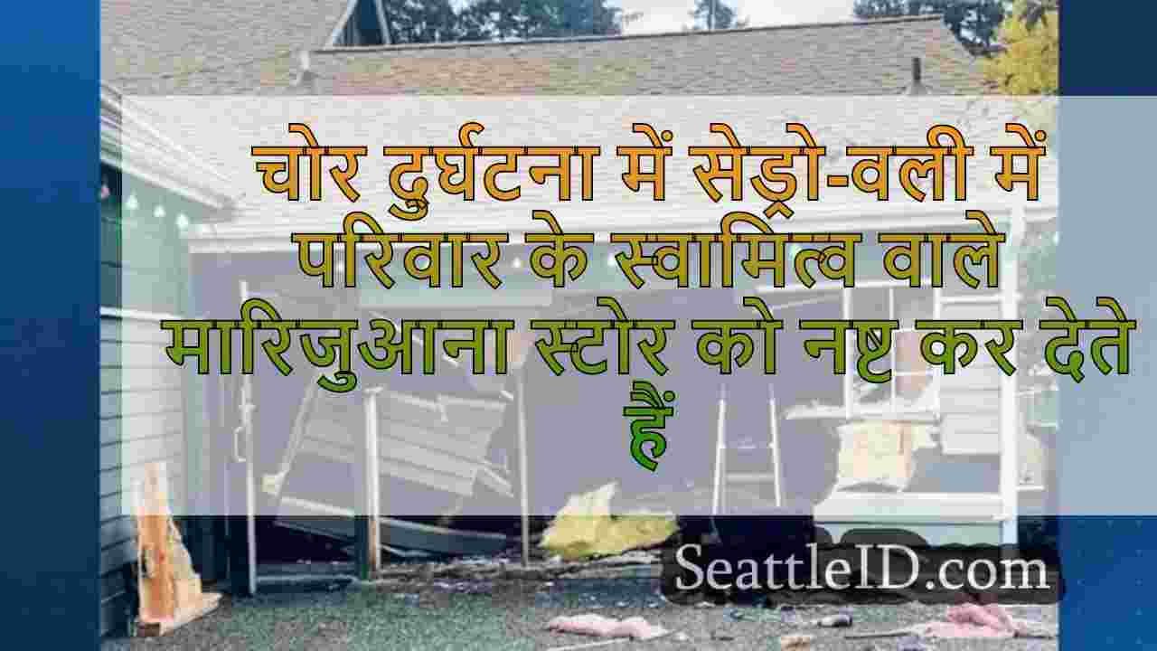 चोरों ने क्रैश-एंड-ग्रैब चोरी में
