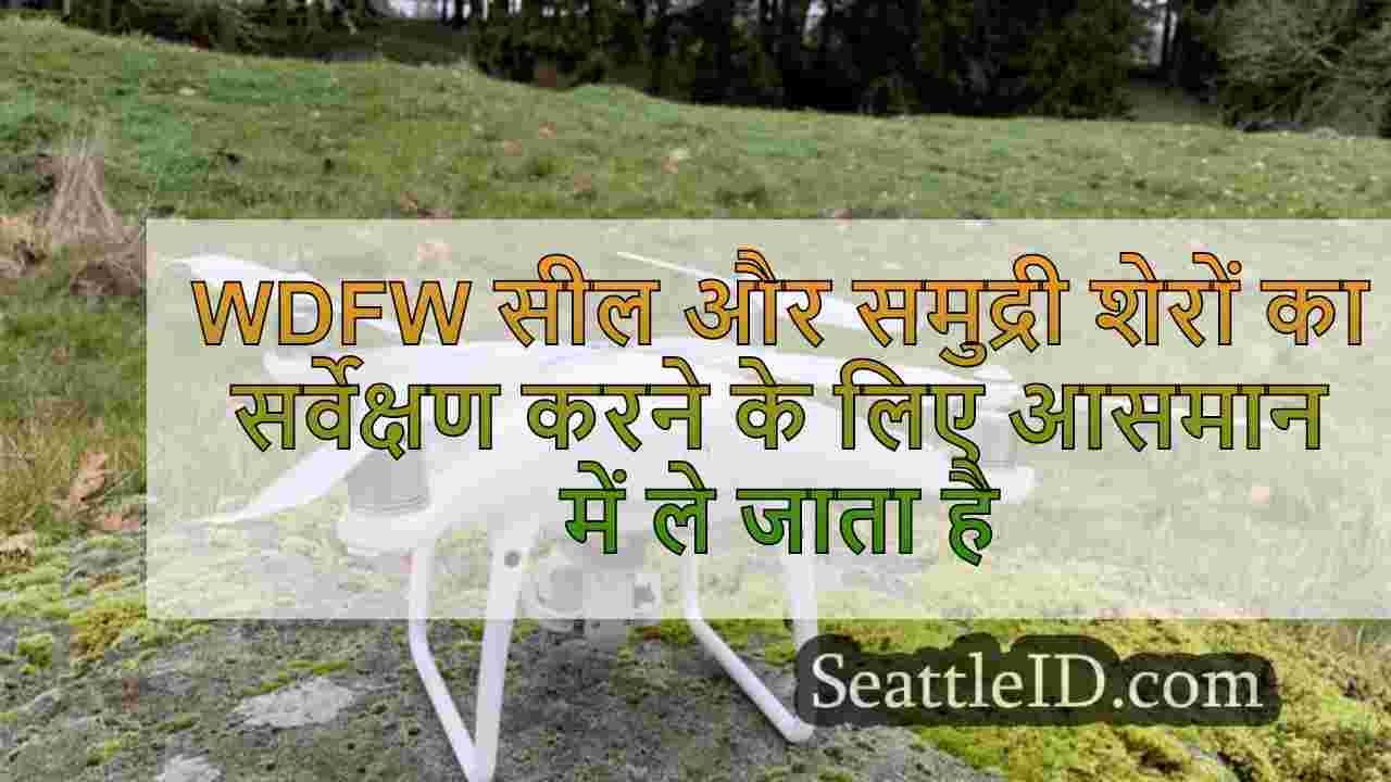 WDFW सील और समुद्री शेरों का सर्वेक्षण