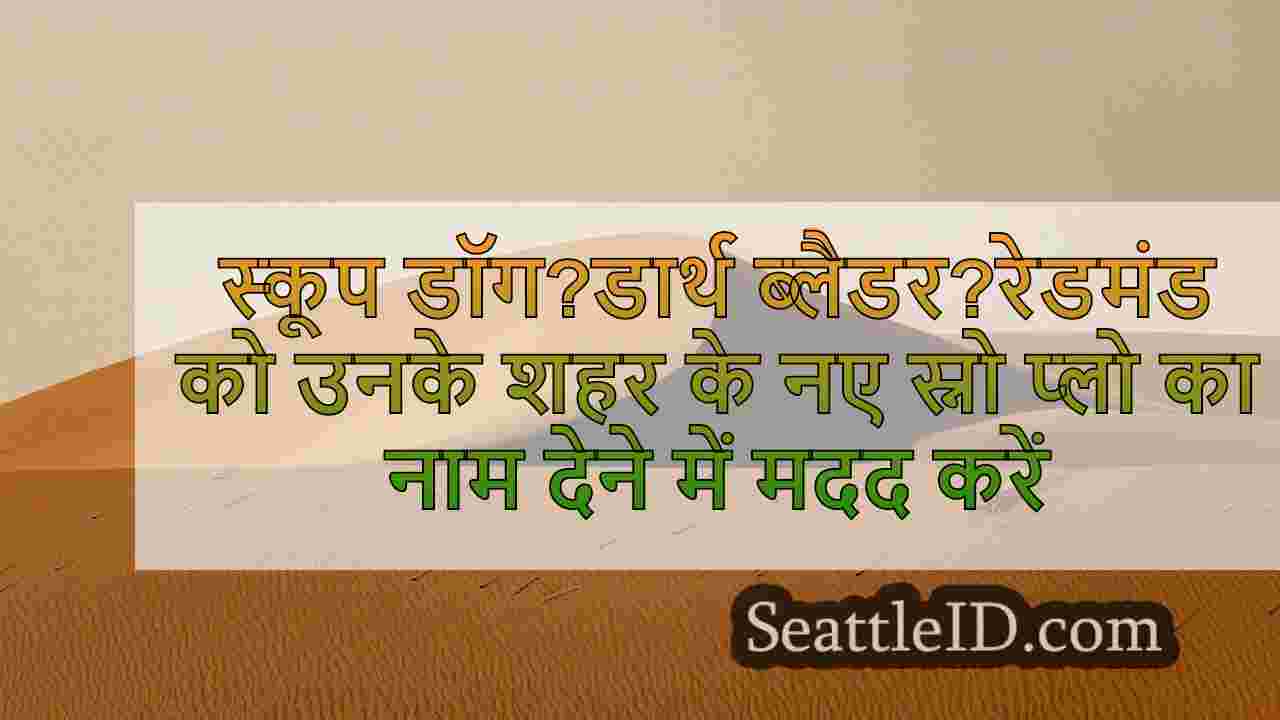 सिएटल समाचार SeattleID