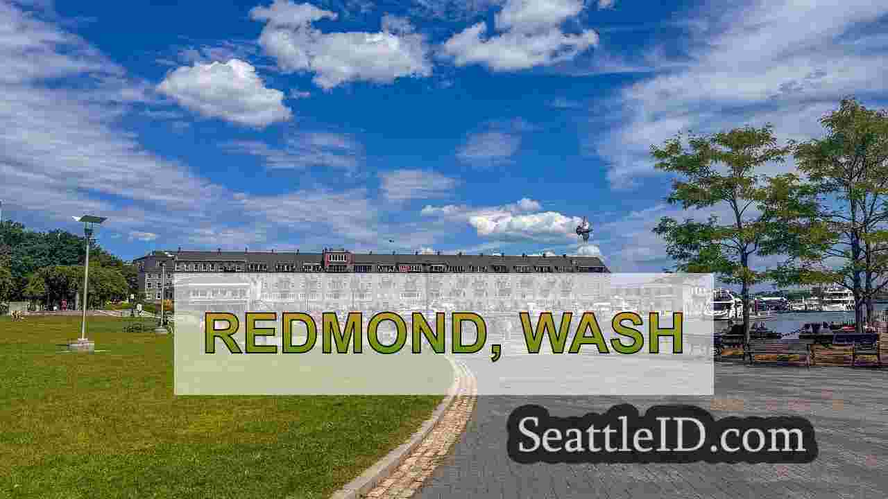 सिएटल समाचार SeattleID