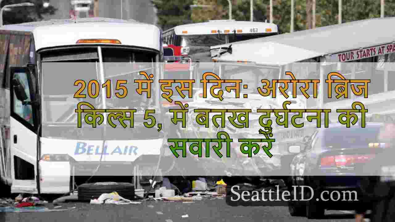 2015 में इस दिन: अरोरा ब्रिज पर बतख