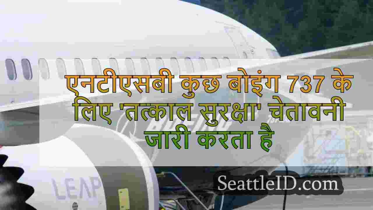 एनटीएसबी कुछ बोइंग 737 के लिए 'तत्काल