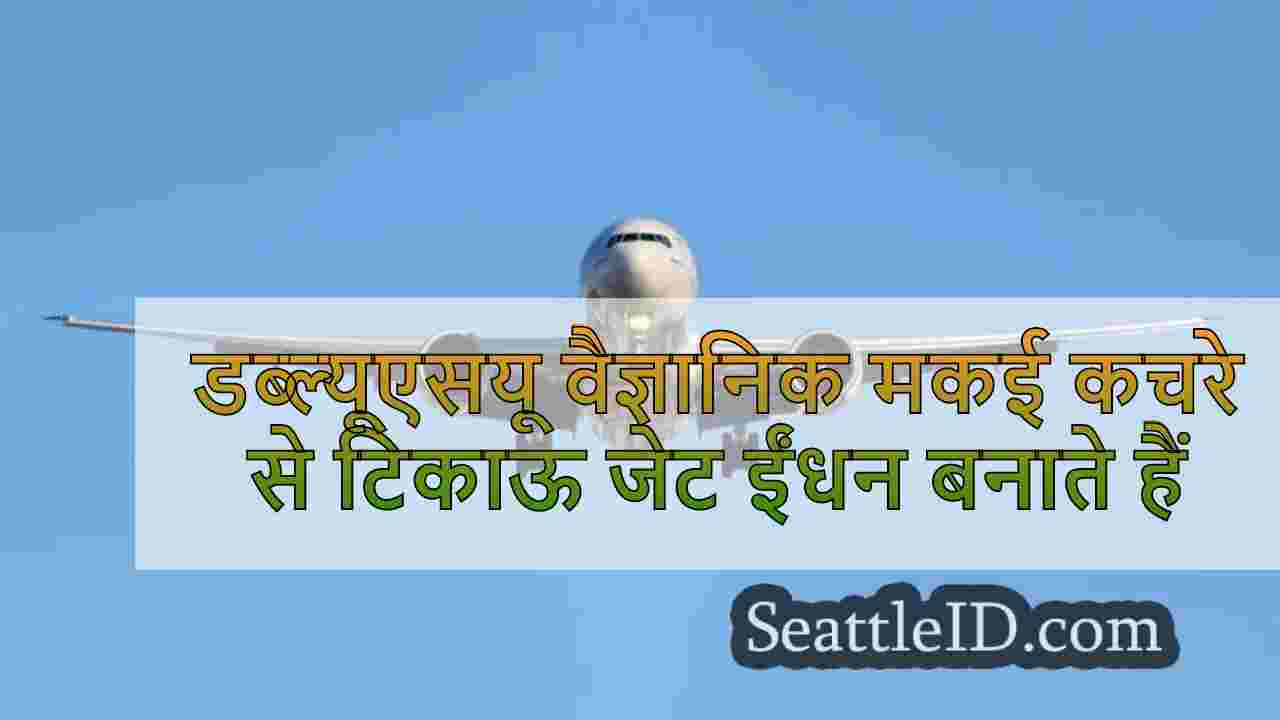 डब्ल्यूएसयू वैज्ञानिक मकई कचरे से टिकाऊ