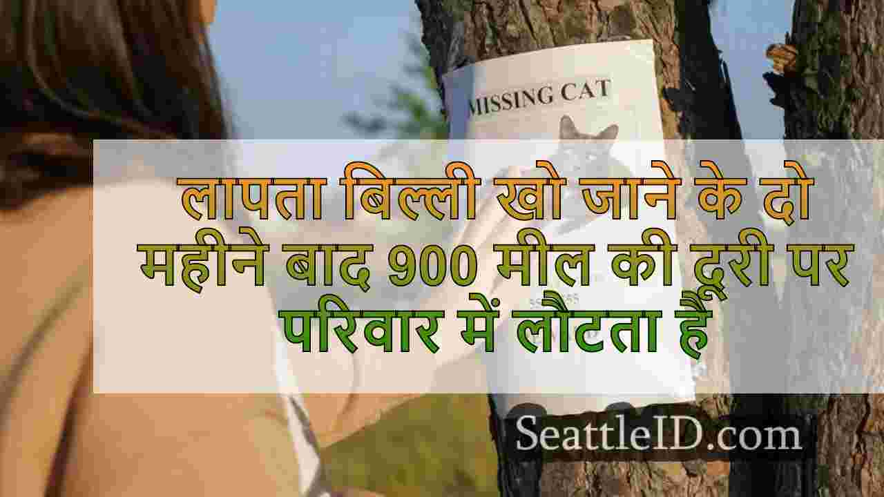 लापता बिल्ली येलोस्टोन में खो जाने के