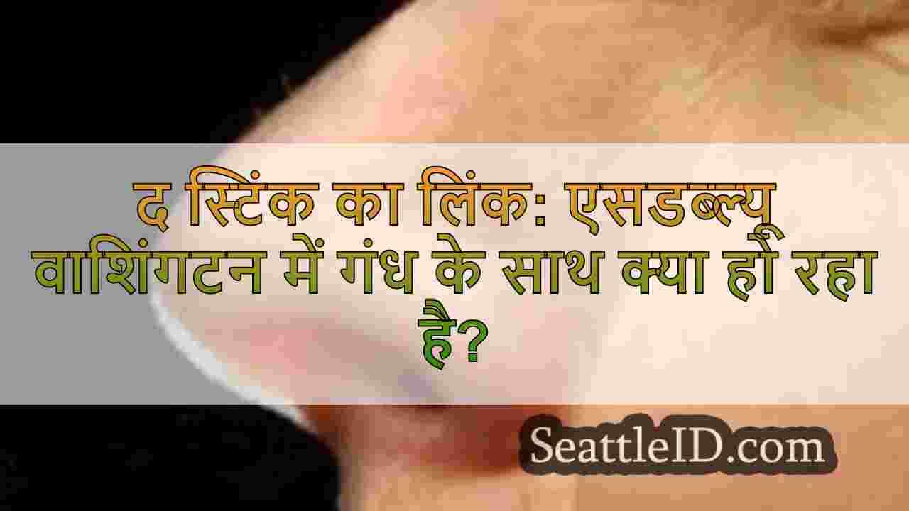 द स्टिंक का लिंक: एसडब्ल्यू वाशिंगटन
