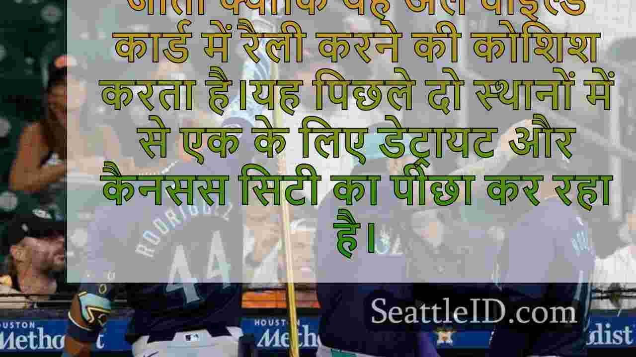 सिएटल समाचार SeattleID