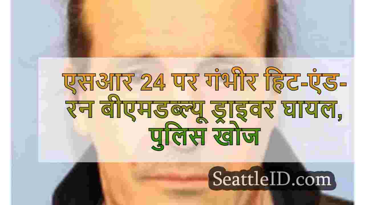 एसआर 24 पर गंभीर हिट-एंड-रन बीएमडब्ल्यू