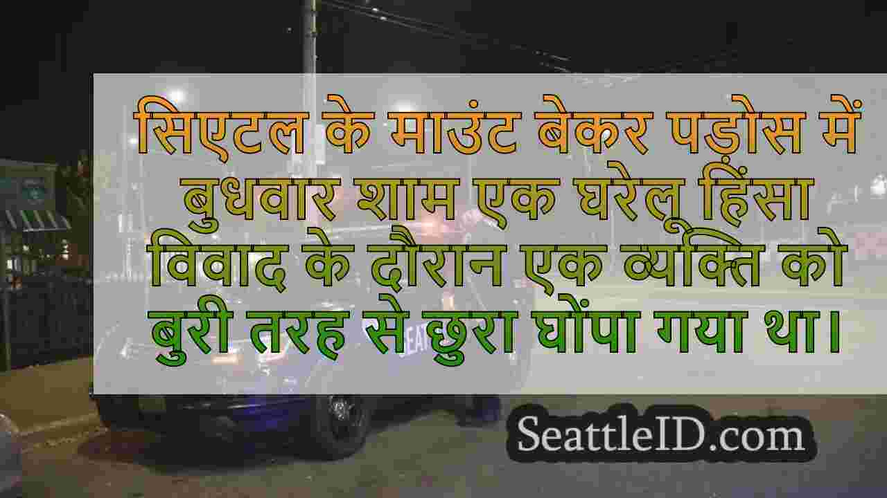 सिएटल के माउंट बेकर नेबरहुड में घरेलू