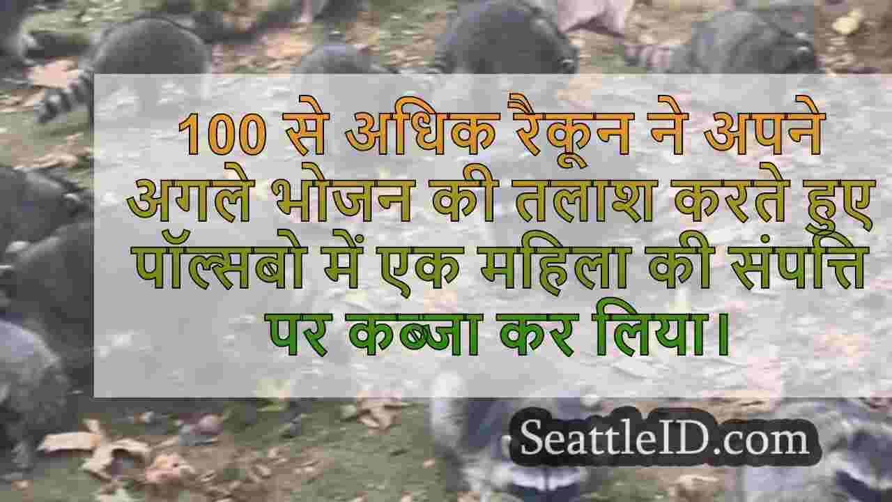 सिएटल समाचार SeattleID