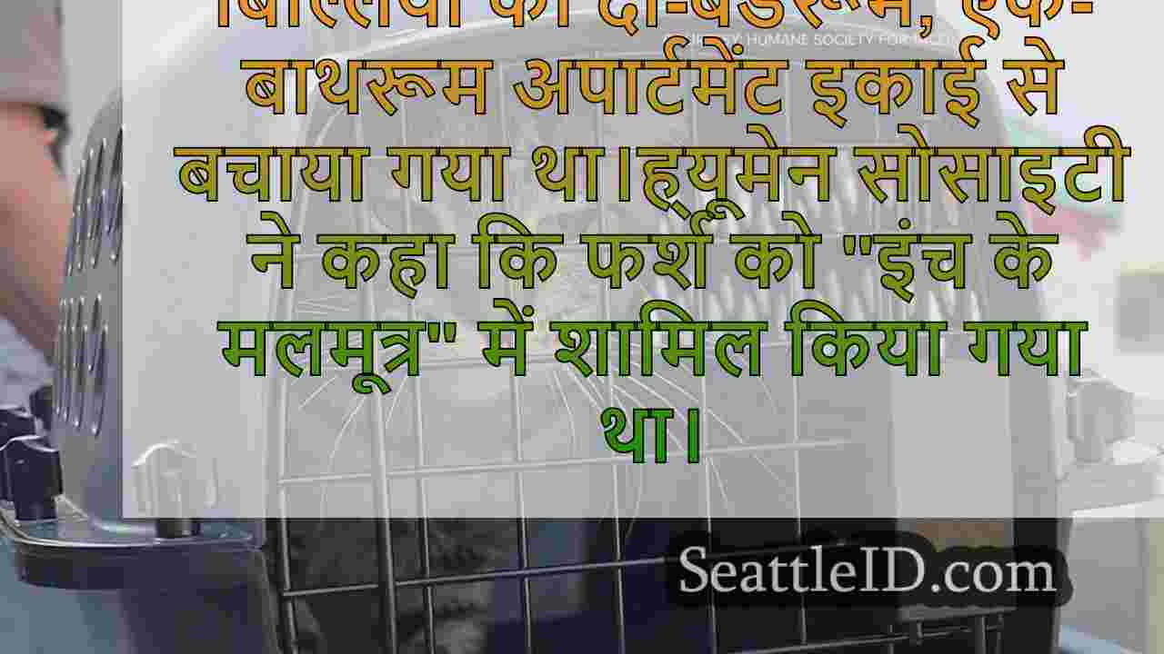 फेडरल वे अपार्टमेंट में होर्डिंग स्थिति