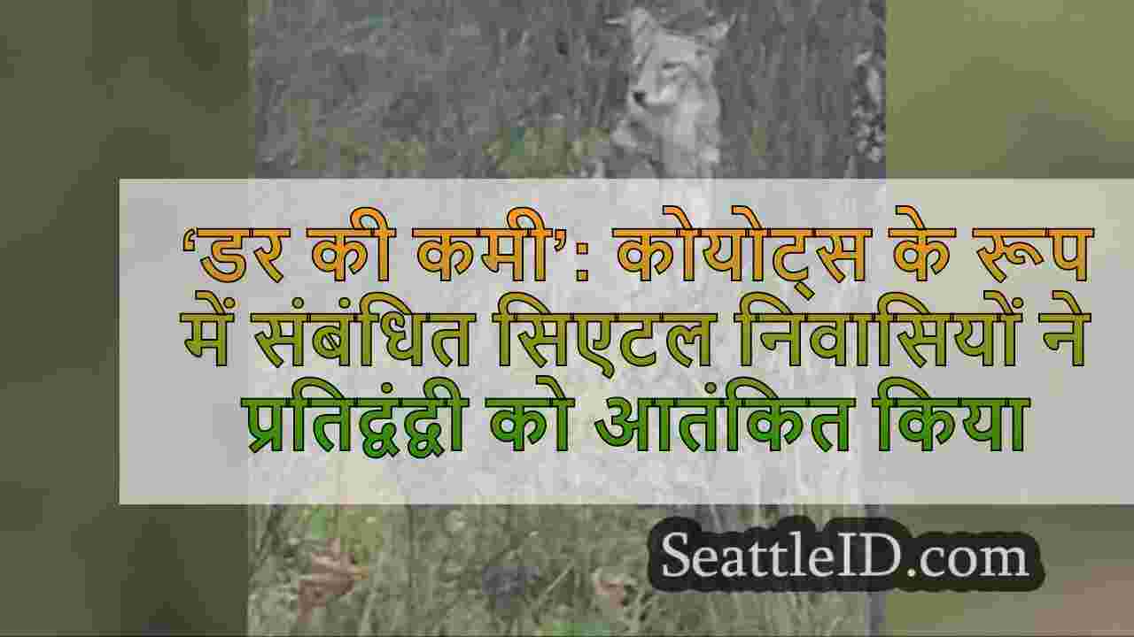 ‘डर की कमी’: कोयोट्स के रूप में संबंधित