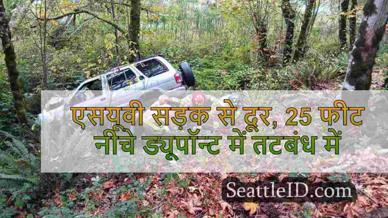 एसयूवी सड़क से दूर, 25 फीट नीचे