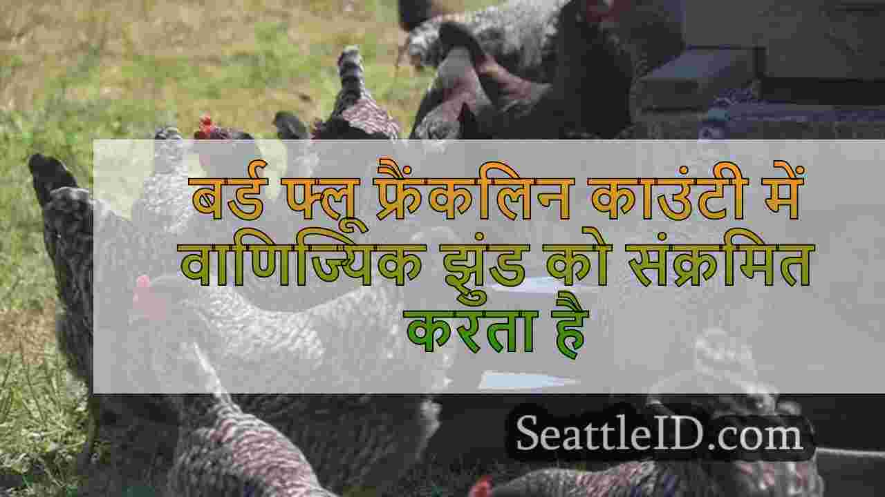 बर्ड फ्लू फ्रैंकलिन काउंटी में