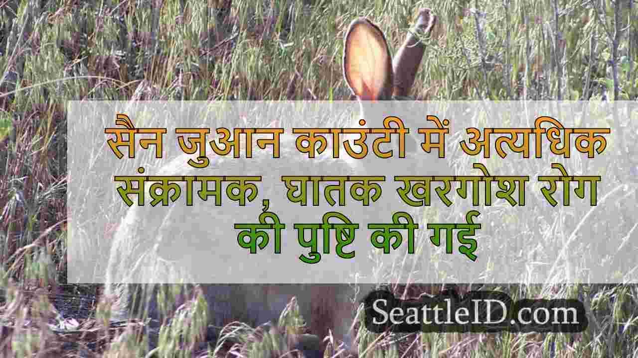 सैन जुआन काउंटी में अत्यधिक संक्रामक,