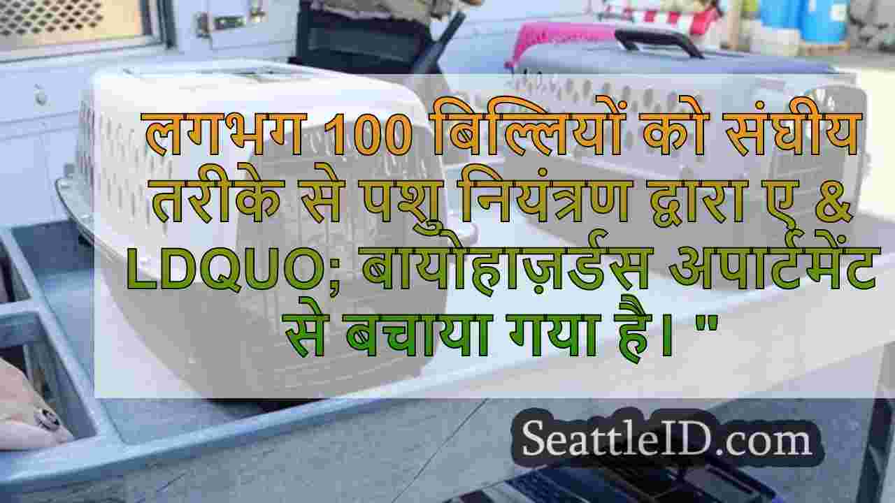 सिएटल समाचार SeattleID