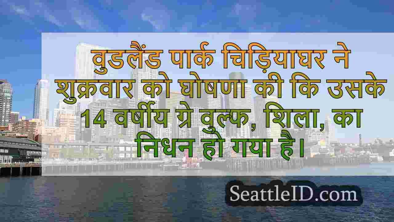 सिएटल समाचार SeattleID