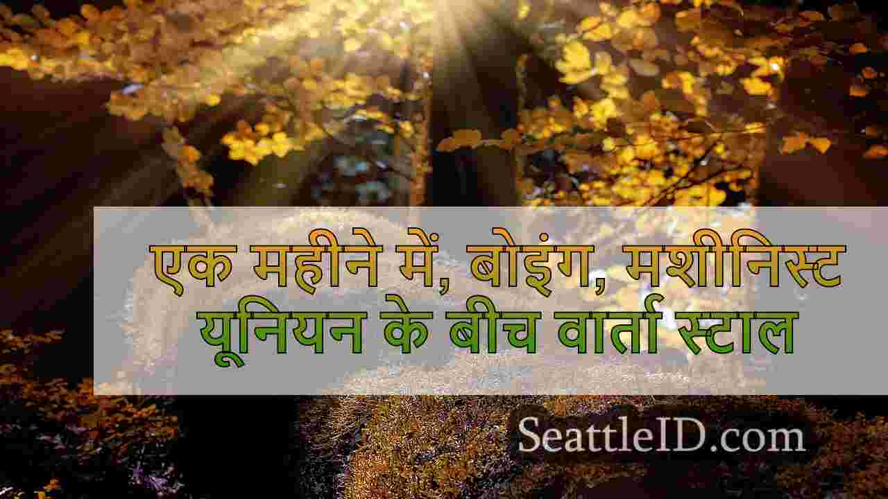 सिएटल समाचार SeattleID