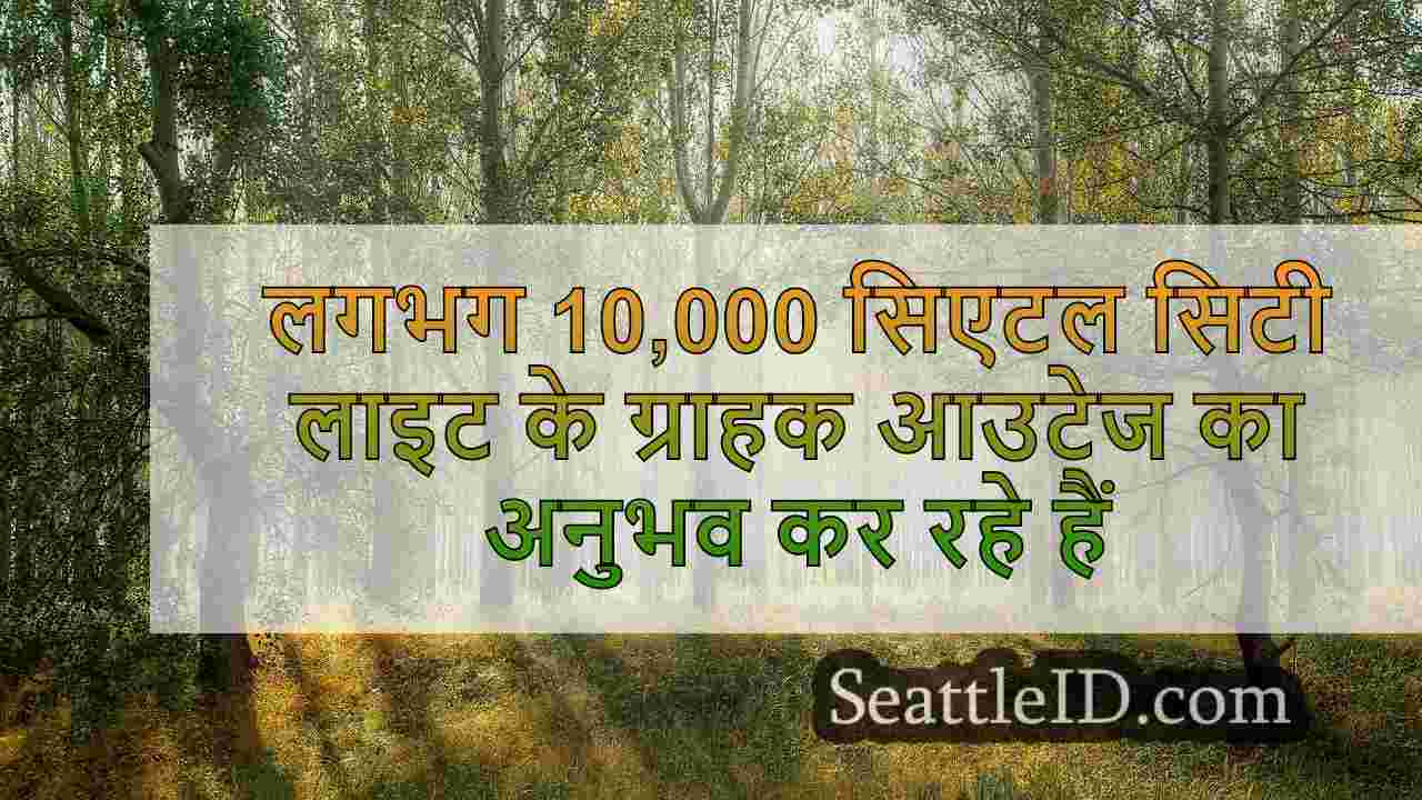 सिएटल समाचार SeattleID