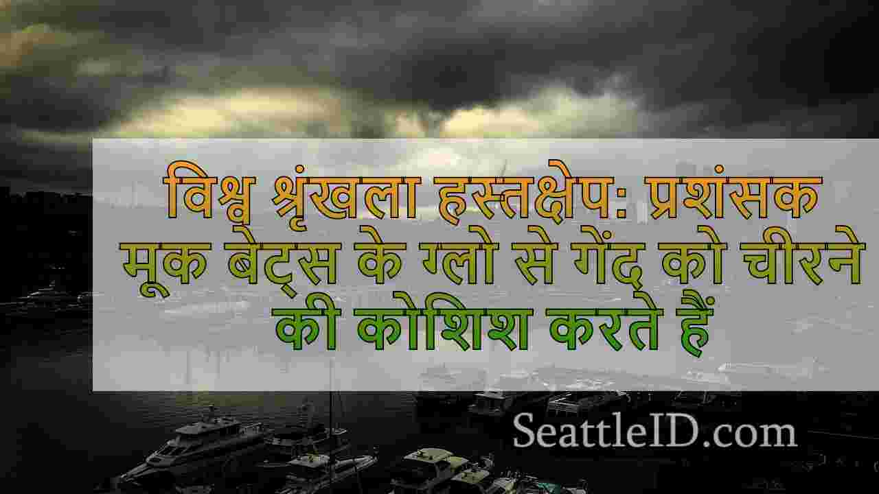 सिएटल समाचार SeattleID