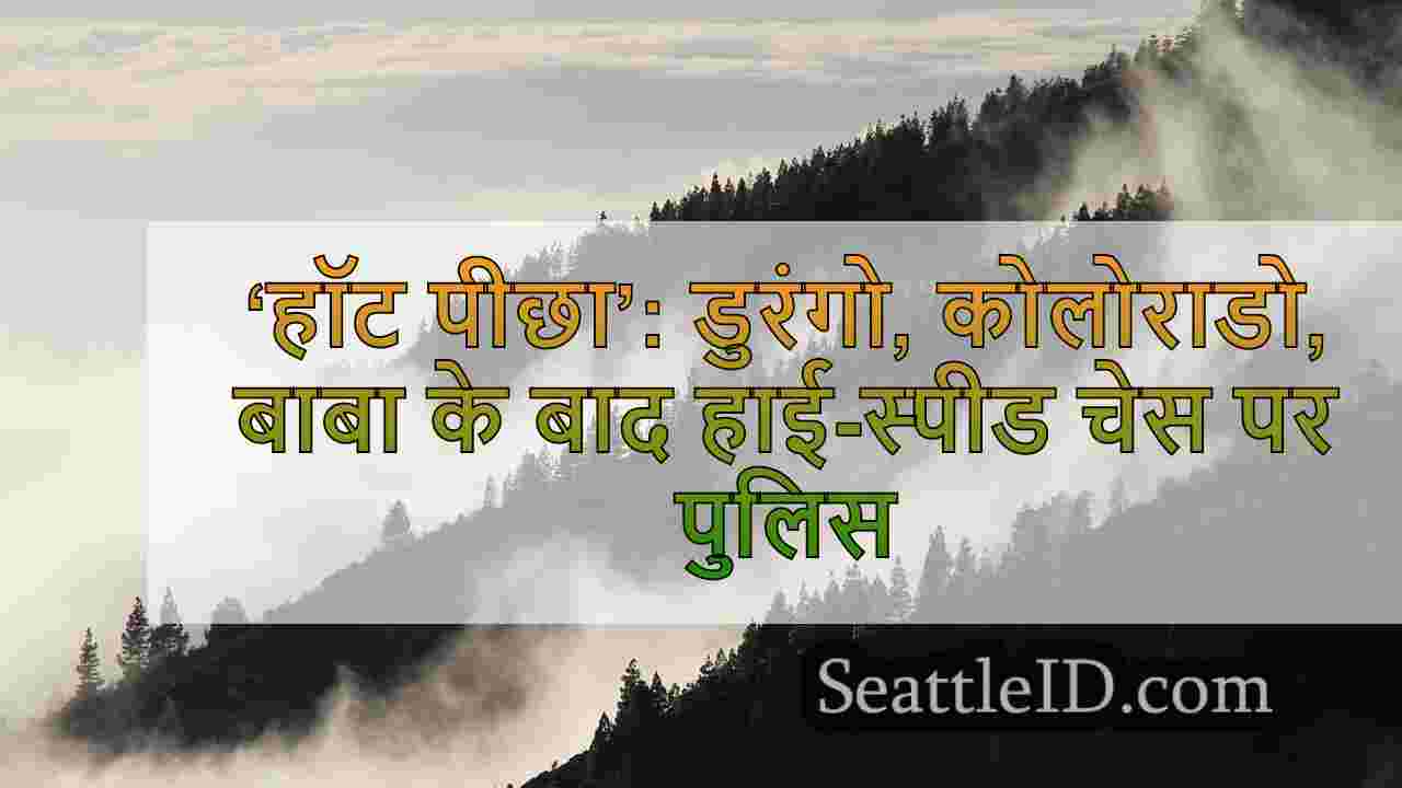 सिएटल समाचार SeattleID
