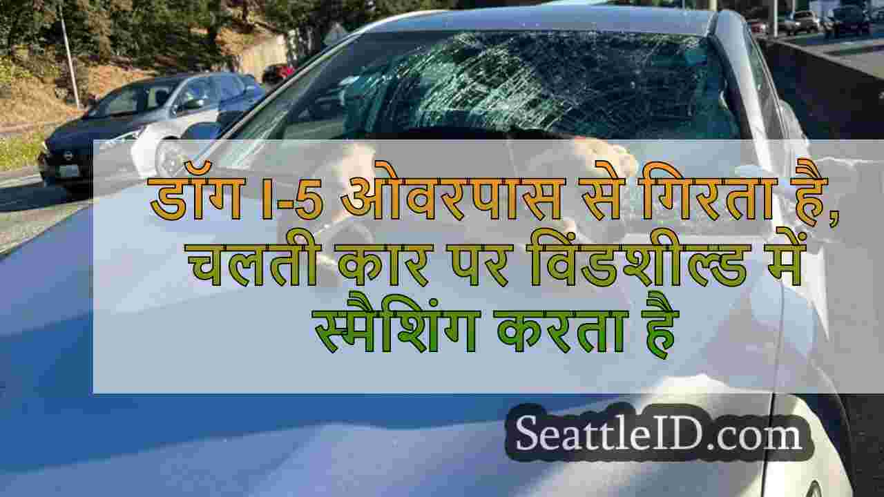 डॉग I-5 ओवरपास से गिरता है, चलती कार पर