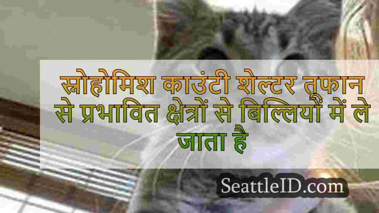 सिएटल समाचार SeattleID