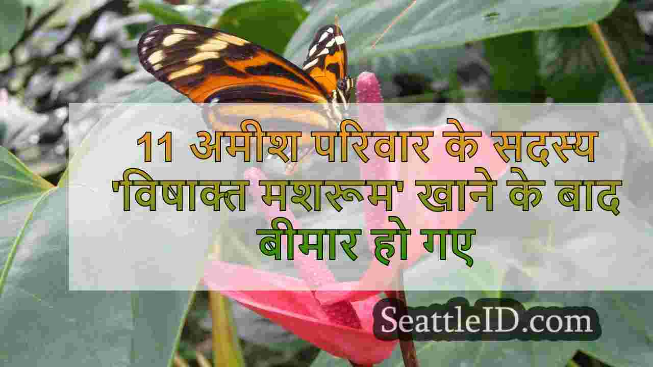 सिएटल समाचार SeattleID