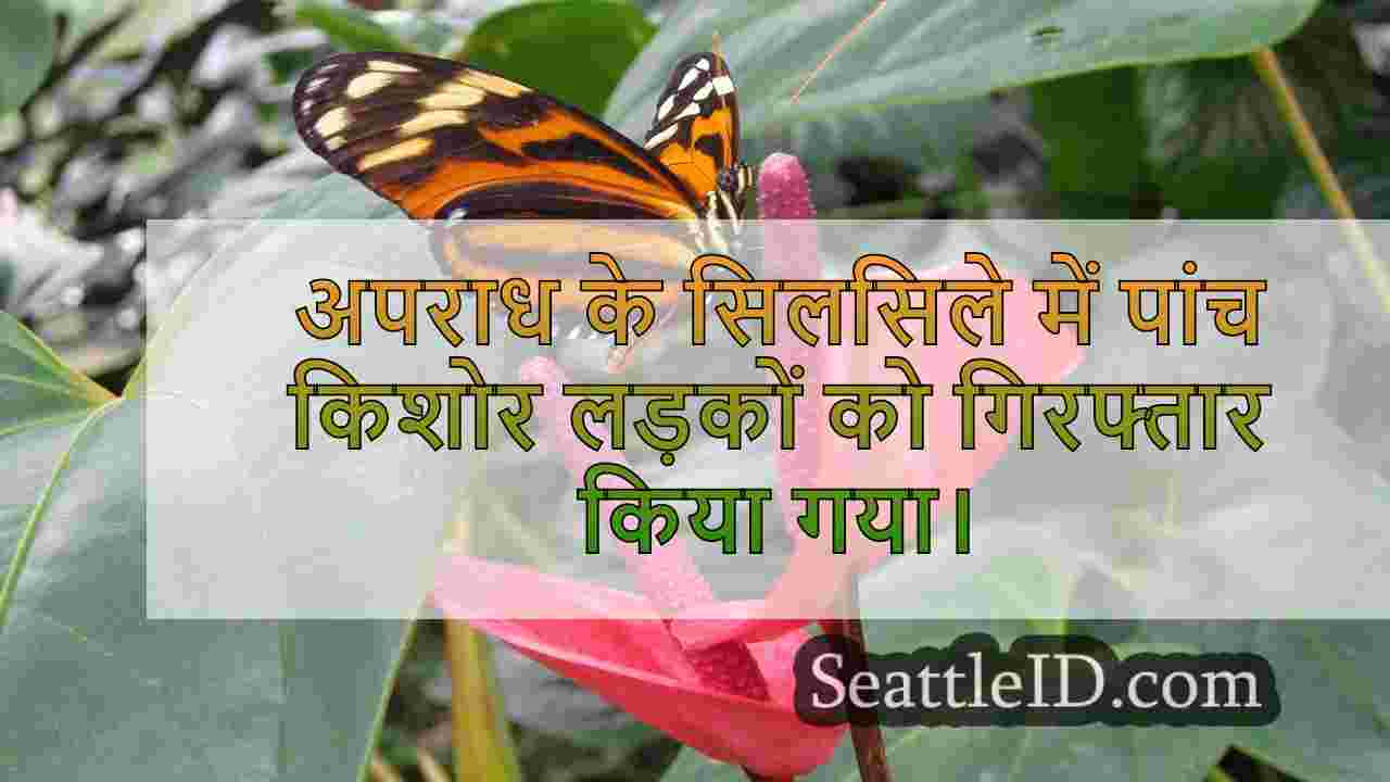 सिएटल समाचार SeattleID