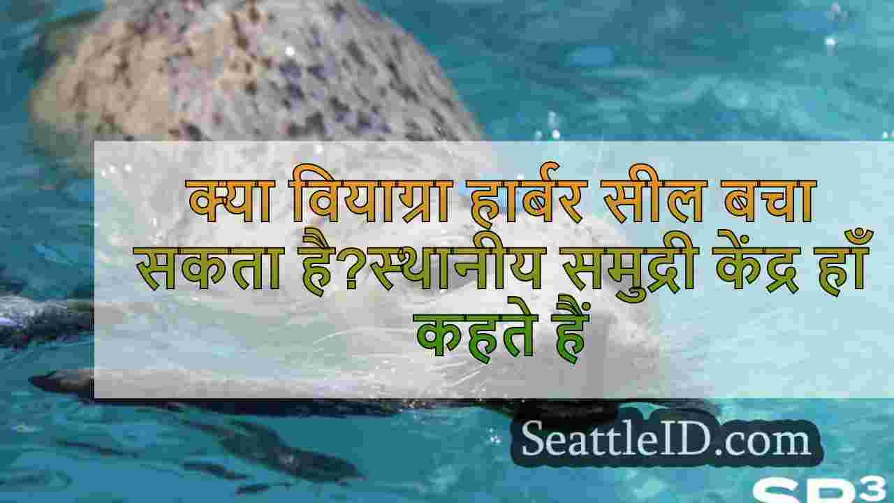 क्या वियाग्रा हार्बर सील बचा सकता