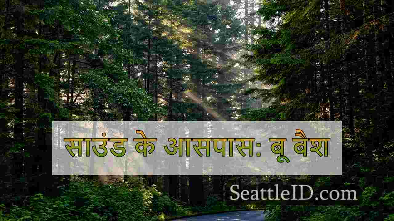 सिएटल समाचार SeattleID