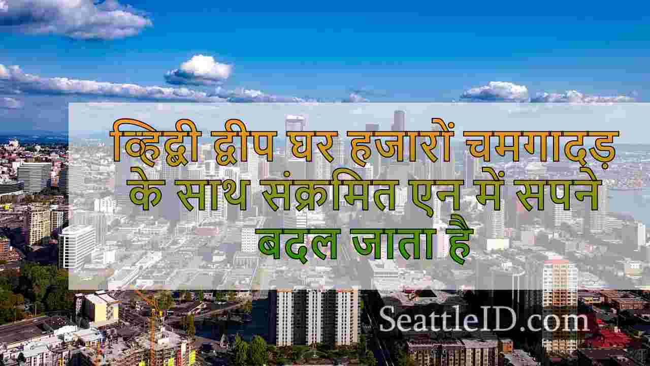 व्हिडबी द्वीप घर हजारों चमगादड़ के साथ