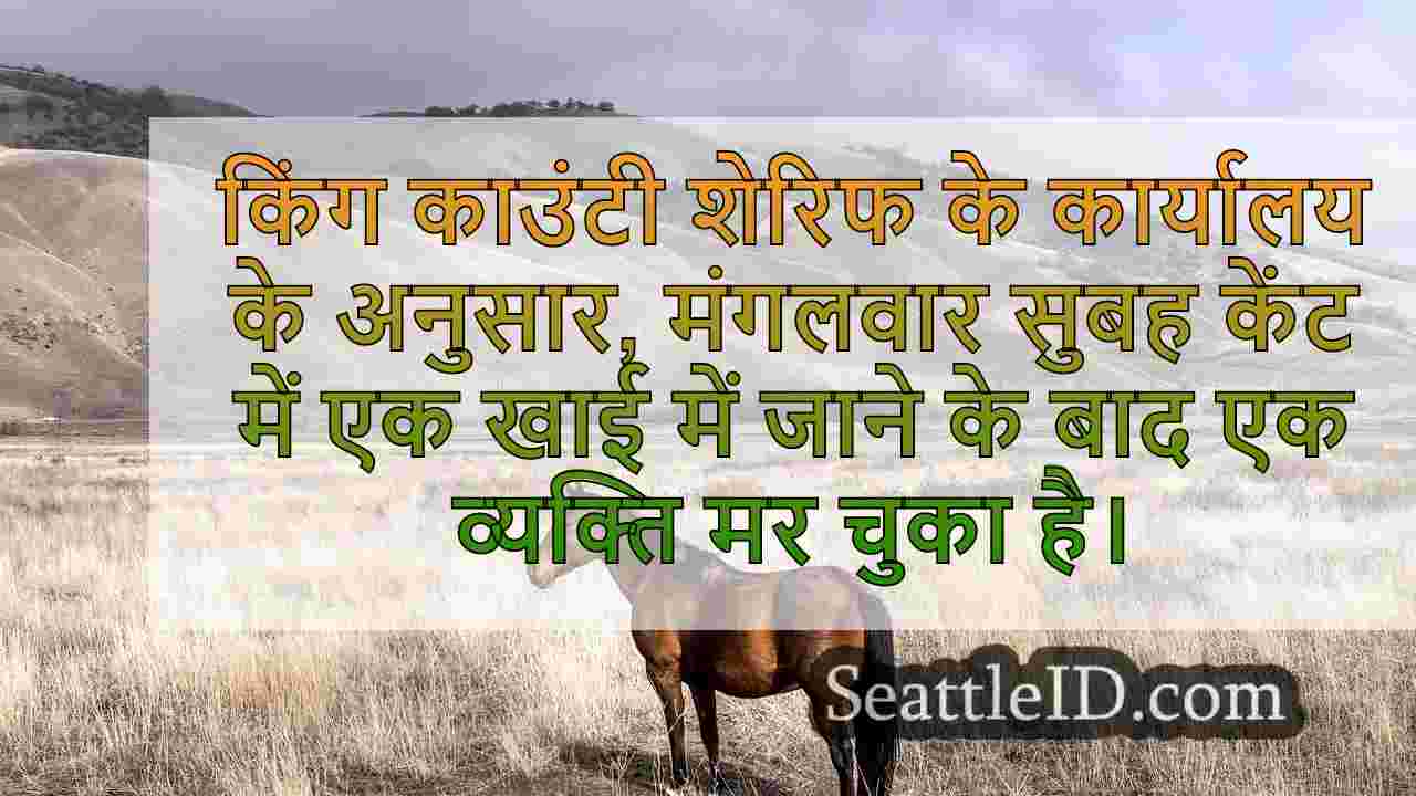 सिएटल समाचार SeattleID