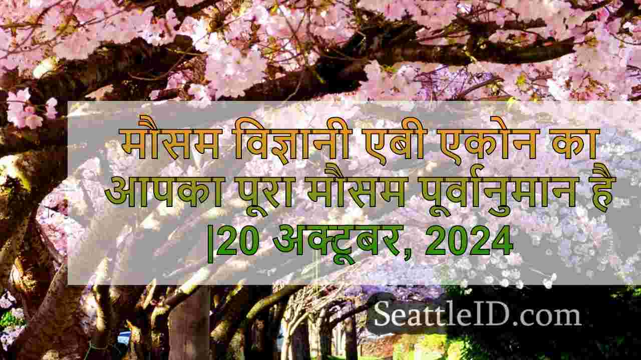 सिएटल समाचार SeattleID