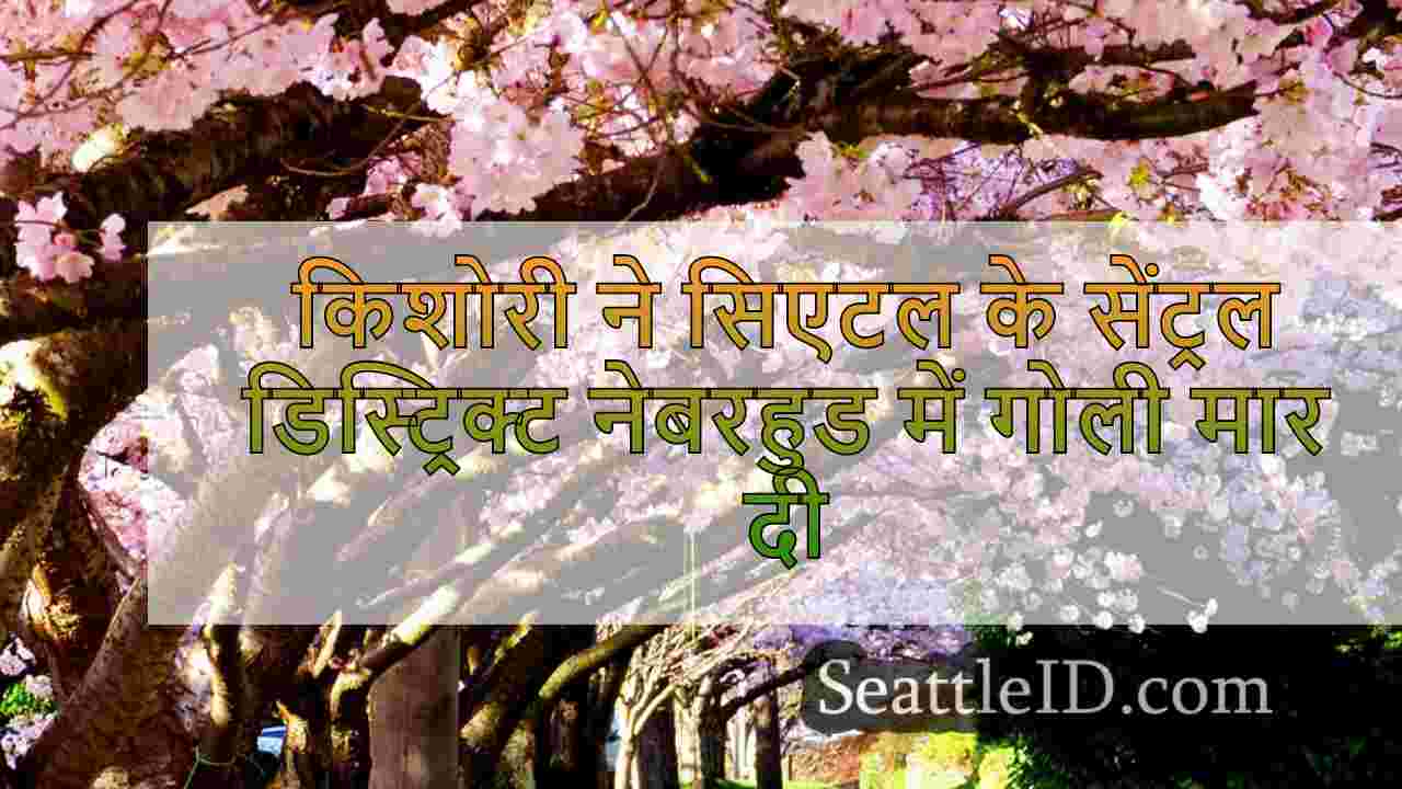 सिएटल समाचार SeattleID