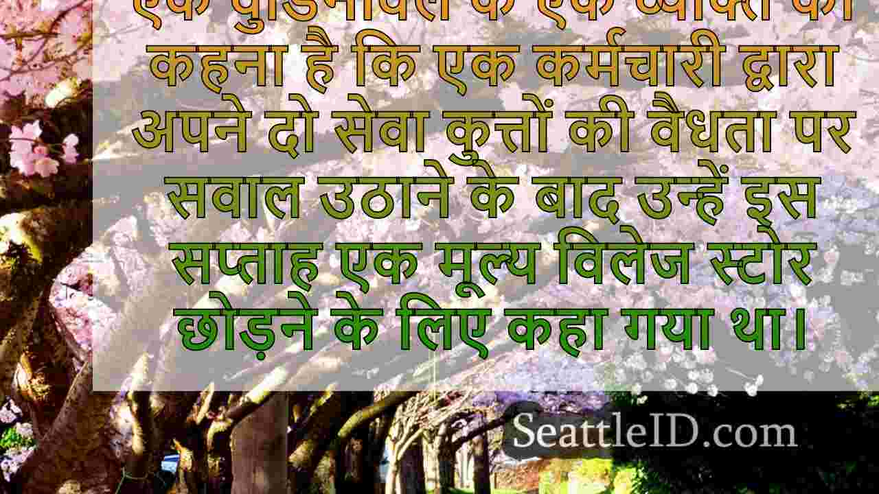 वुडिनविले, वा मैन का दावा है कि मूल्य