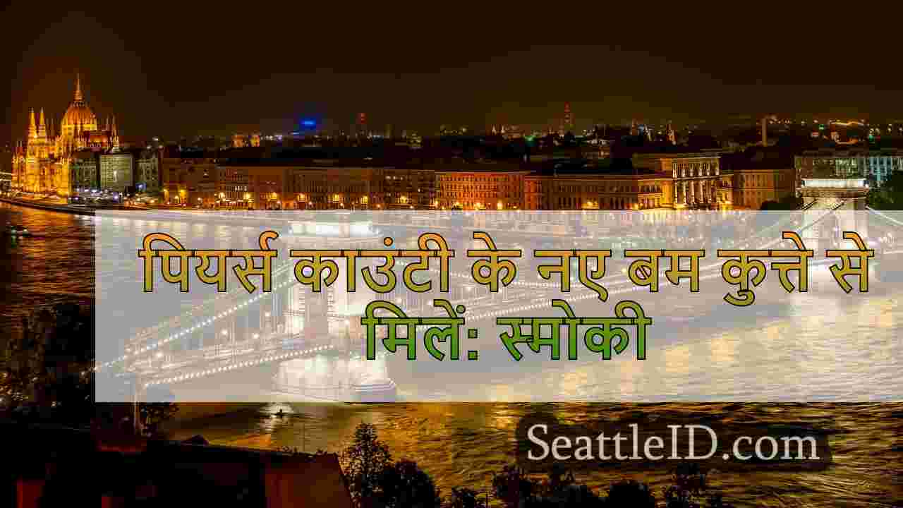 सिएटल समाचार SeattleID
