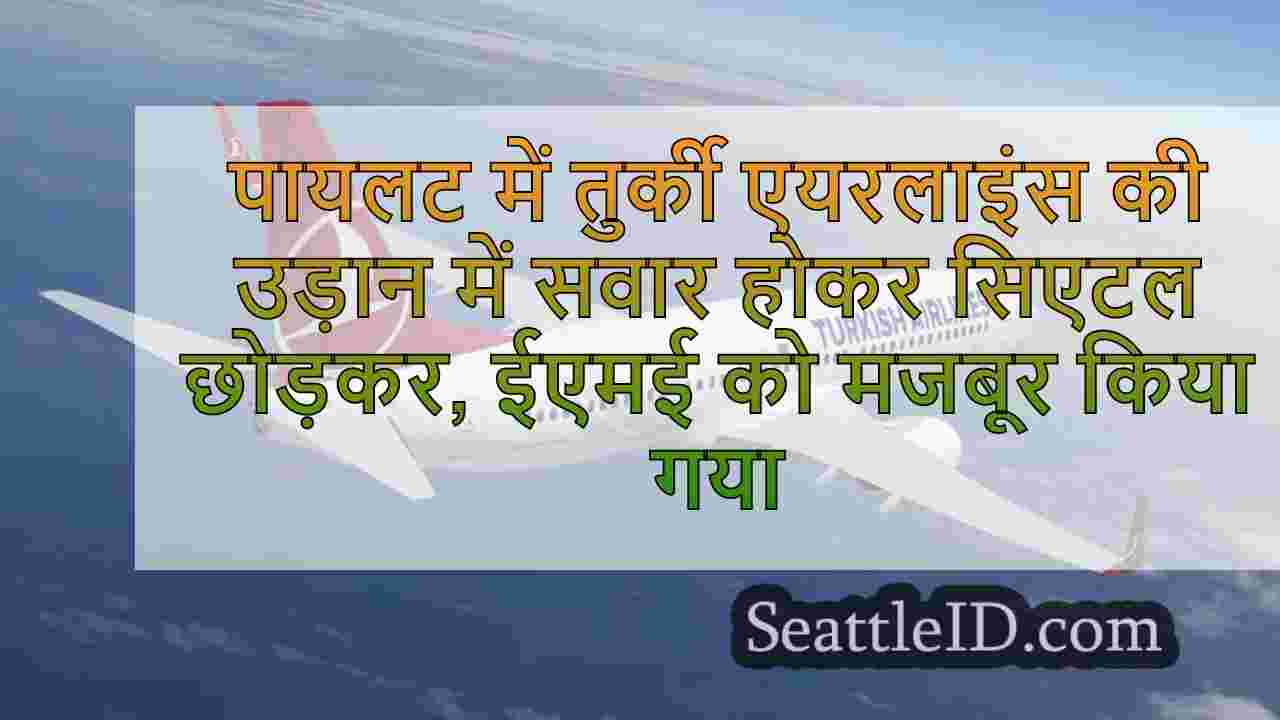 पायलट में तुर्की एयरलाइंस की उड़ान में