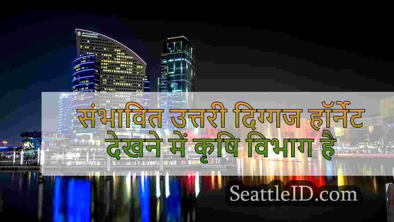 सिएटल समाचार SeattleID