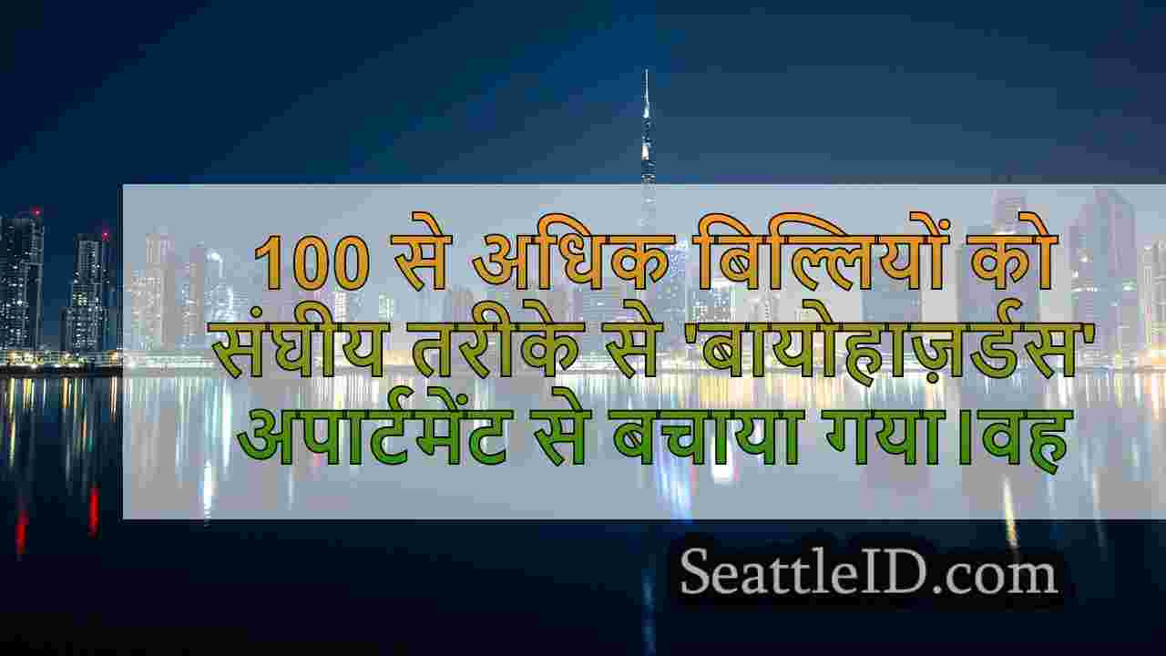 सिएटल समाचार SeattleID